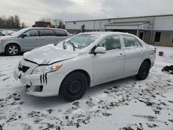 Toyota Corolla Base salvage cars for sale: 2010 Toyota Corolla Base