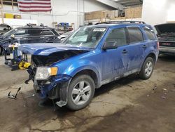 Vehiculos salvage en venta de Copart Ham Lake, MN: 2011 Ford Escape XLT