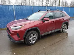 Toyota salvage cars for sale: 2023 Toyota Rav4 XLE