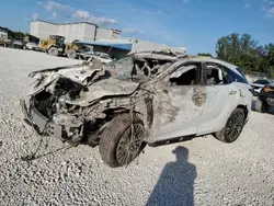 Salvage cars for sale at Opa Locka, FL auction: 2024 Lexus RX 350 Base