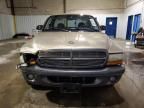 2002 Dodge Dakota Base