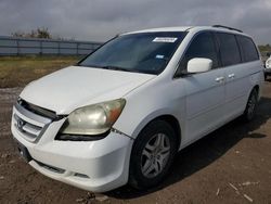 Salvage cars for sale at Houston, TX auction: 2005 Honda Odyssey EX