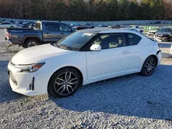 Salvage cars for sale at Gainesville, GA auction: 2014 Scion TC