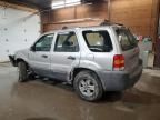 2005 Ford Escape XLS