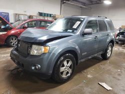 2010 Ford Escape XLT en venta en Elgin, IL