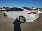 2016 Ford Fusion SE Phev