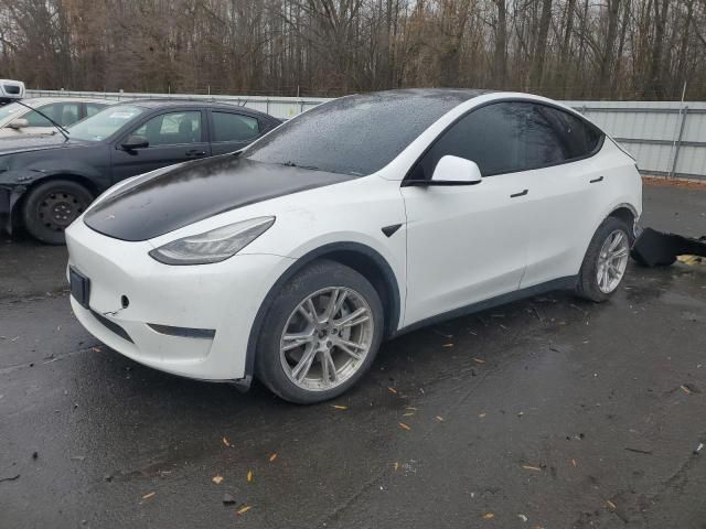 2020 Tesla Model Y