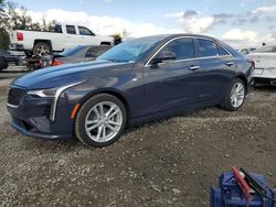 Lots with Bids for sale at auction: 2025 Cadillac CT4 Luxury