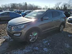 Salvage cars for sale from Copart Chalfont, PA: 2013 Hyundai Santa FE Sport