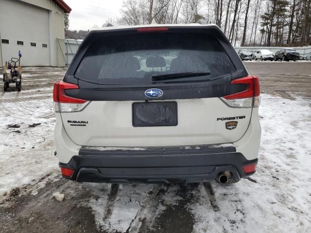 2023 Subaru Forester Wilderness