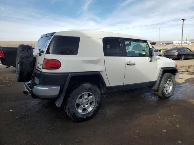 2010 Toyota FJ Cruiser