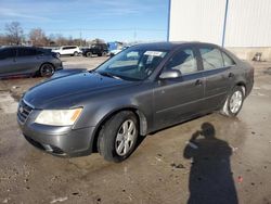 Salvage cars for sale at Lawrenceburg, KY auction: 2010 Hyundai Sonata GLS