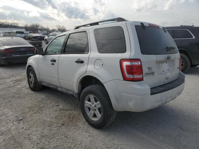 2010 Ford Escape XLT