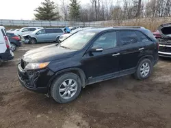 KIA Sorento salvage cars for sale: 2013 KIA Sorento LX