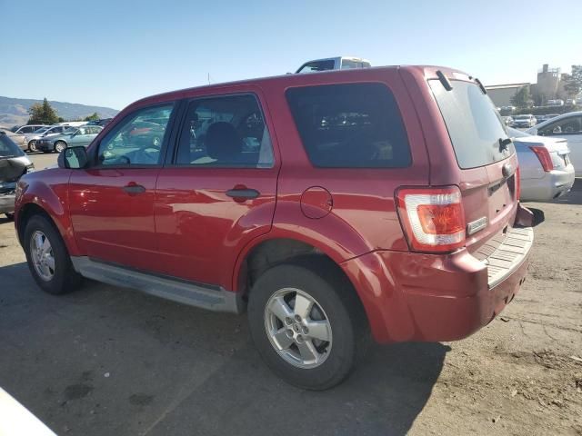 2010 Ford Escape XLS