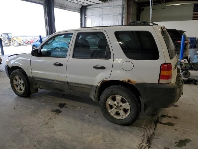 2005 Ford Escape XLT