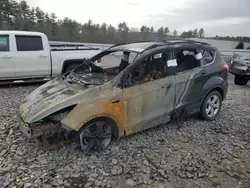 Salvage cars for sale at Windham, ME auction: 2016 Ford Escape SE