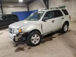 Salvage cars for sale at Chalfont, PA auction: 2009 Ford Escape XLT