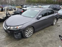 Salvage cars for sale at Waldorf, MD auction: 2015 Honda Accord EXL