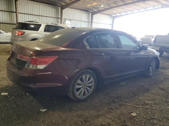 2011 Honda Accord EXL