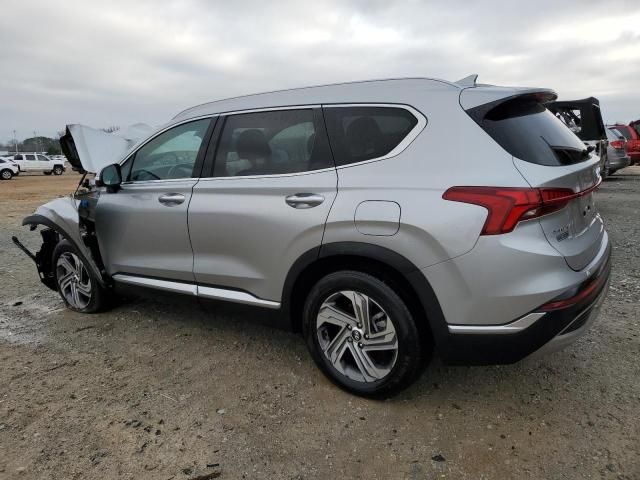 2023 Hyundai Santa FE SEL Premium