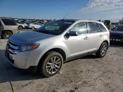 Salvage cars for sale at Sikeston, MO auction: 2013 Ford Edge Limited