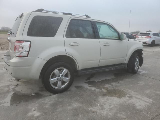 2009 Ford Escape Limited