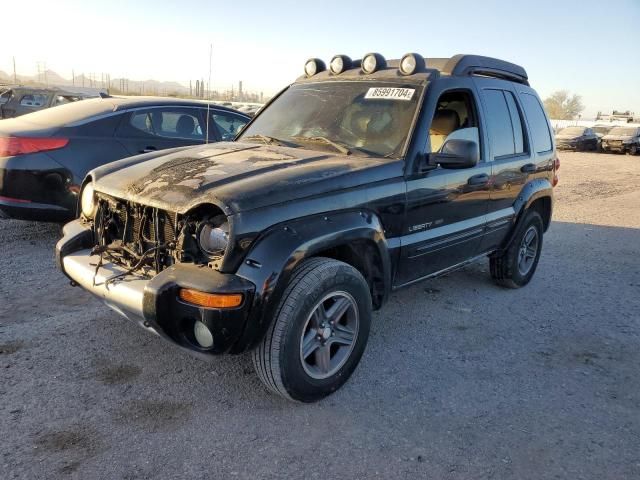 2003 Jeep Liberty Renegade