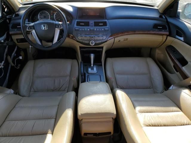 2011 Honda Accord EXL