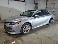 Salvage cars for sale at Lexington, KY auction: 2023 Toyota Camry LE