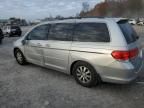 2010 Honda Odyssey EX