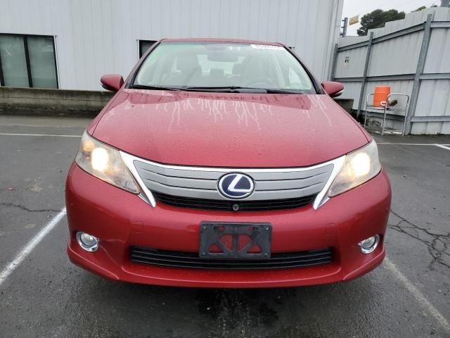 2010 Lexus HS 250H