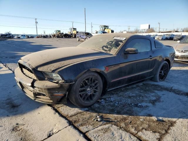 2014 Ford Mustang