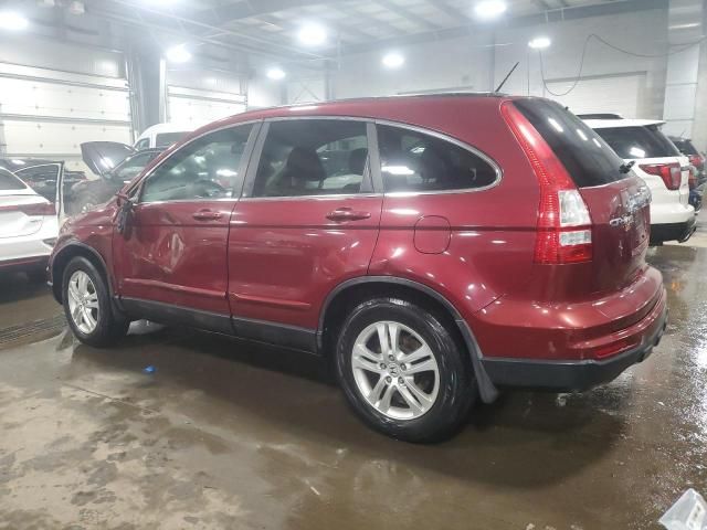 2010 Honda CR-V EXL