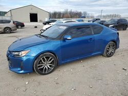 Scion salvage cars for sale: 2016 Scion TC