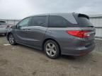 2019 Honda Odyssey EXL