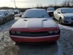 2013 Dodge Challenger SXT