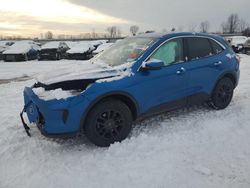 2020 Ford Escape SE en venta en Central Square, NY