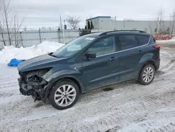 2019 Ford Escape SEL en venta en London, ON