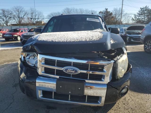 2010 Ford Escape Limited