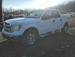 2013 Ford F150 Supercrew en venta en Baltimore, MD