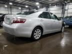 2009 Toyota Camry Hybrid