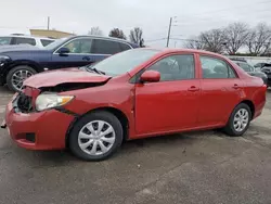 Salvage cars for sale at Moraine, OH auction: 2010 Toyota Corolla Base