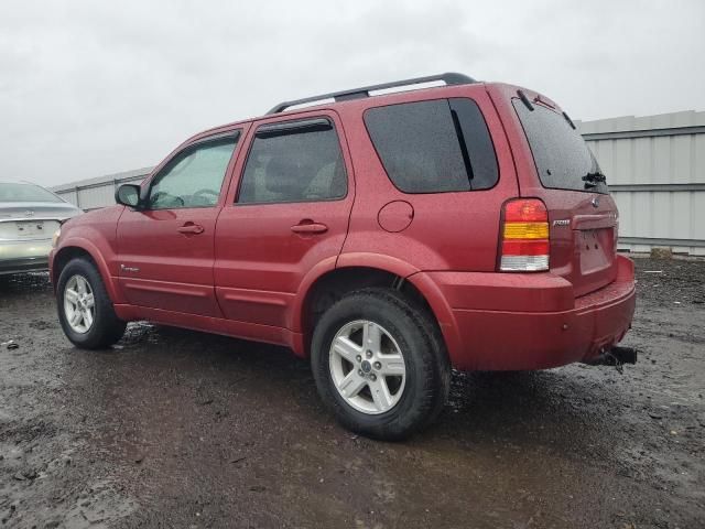 2007 Ford Escape HEV