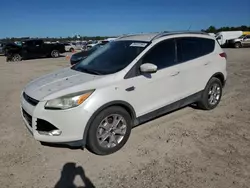 Salvage cars for sale at Houston, TX auction: 2014 Ford Escape Titanium