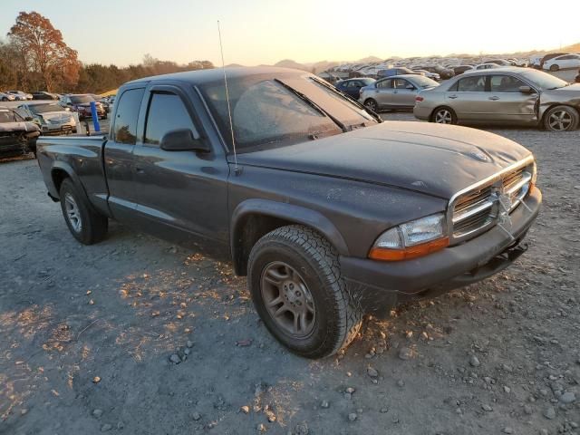 2004 Dodge Dakota SXT