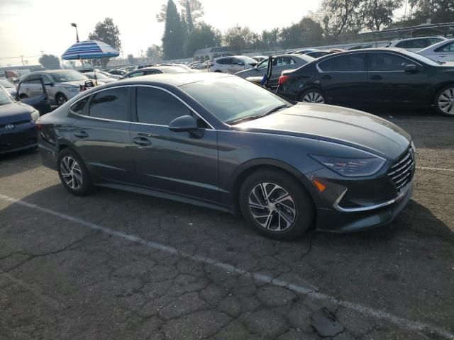 2023 Hyundai Sonata Hybrid