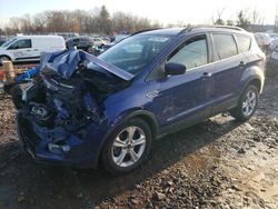 Salvage cars for sale at Chalfont, PA auction: 2014 Ford Escape SE