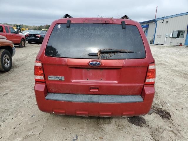 2011 Ford Escape XLT