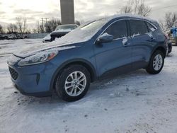 2020 Ford Escape SE en venta en Wayland, MI